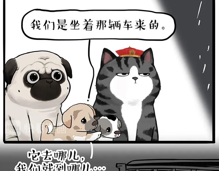 第267话 不让你流浪 第11页