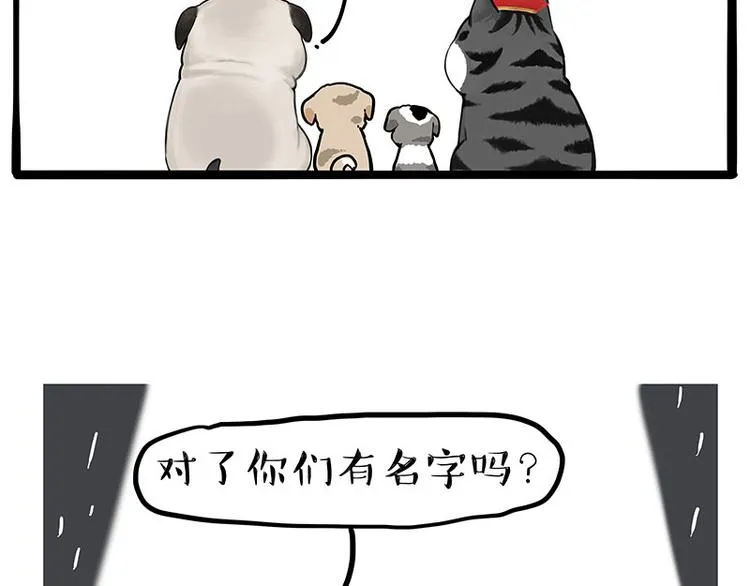 第267话 不让你流浪 第14页