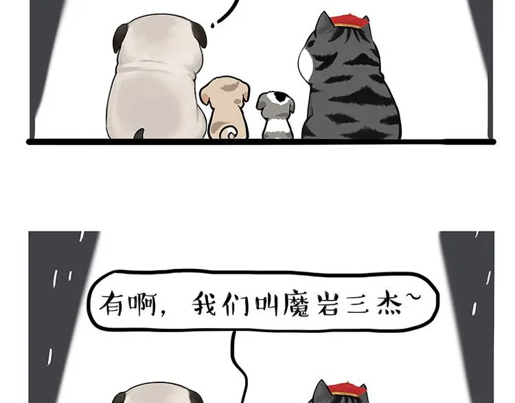 第267话 不让你流浪 第15页