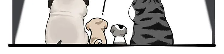 第267话 不让你流浪 第16页