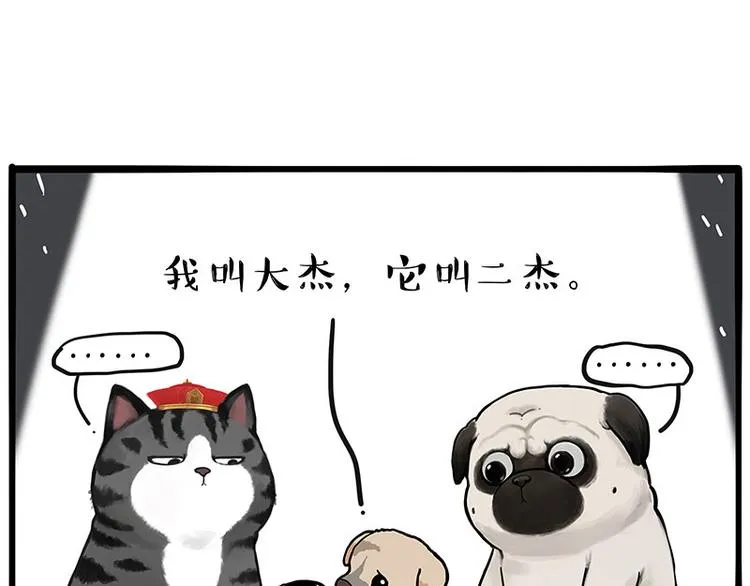 第267话 不让你流浪 第17页