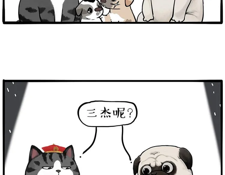 第267话 不让你流浪 第18页