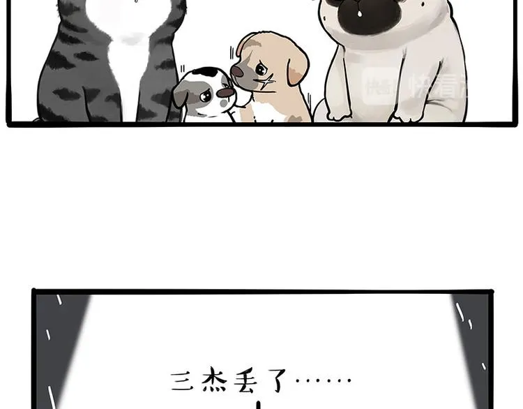 第267话 不让你流浪 第19页