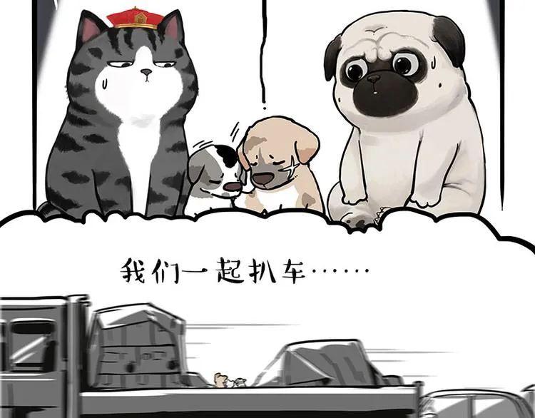 第267话 不让你流浪 第20页