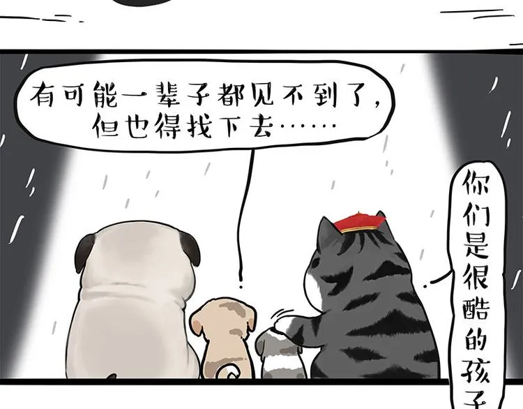 第267话 不让你流浪 第26页