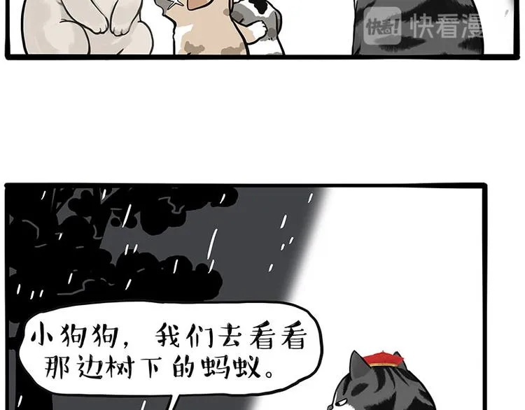 第267话 不让你流浪 第28页