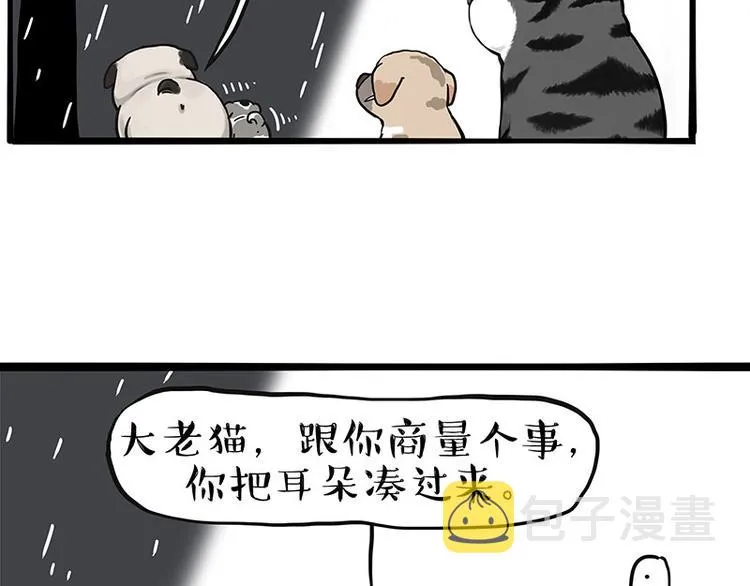 第267话 不让你流浪 第29页