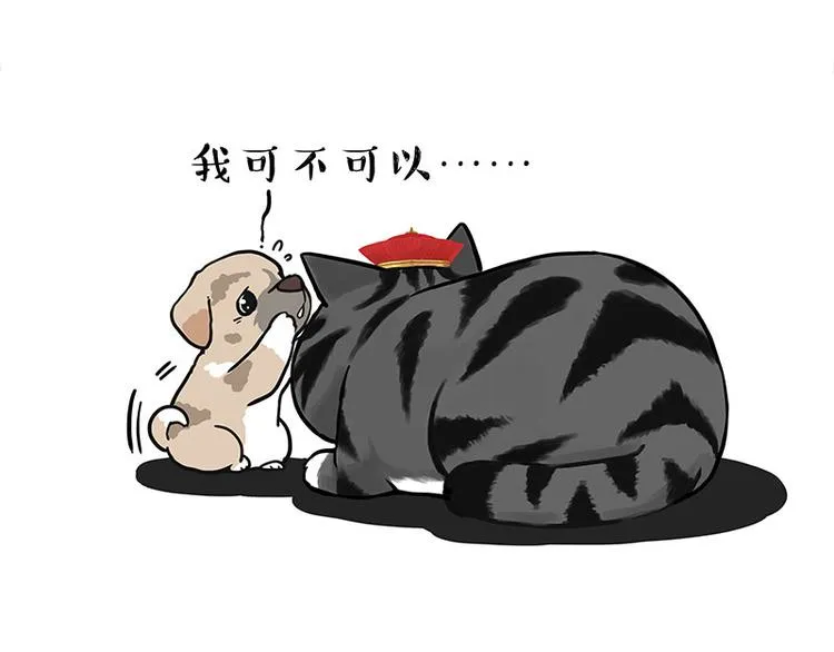 第267话 不让你流浪 第33页