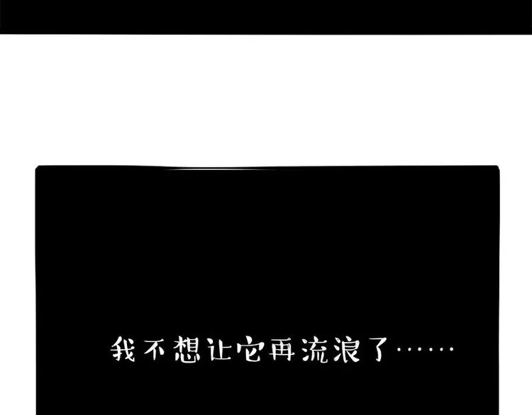 第267话 不让你流浪 第35页