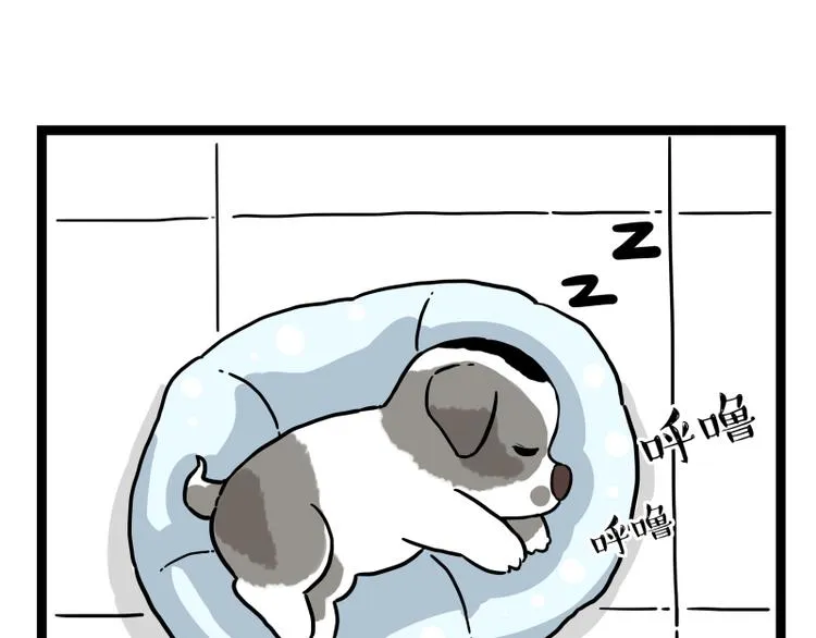 第267话 不让你流浪 第39页