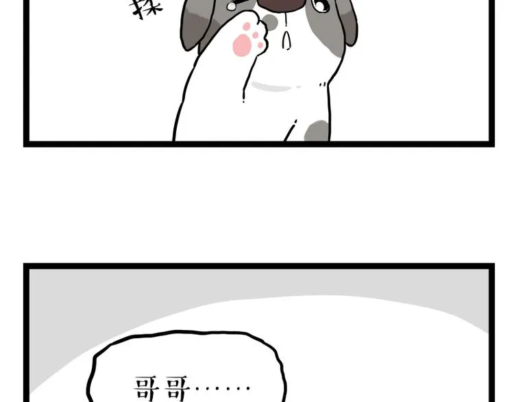 第267话 不让你流浪 第41页