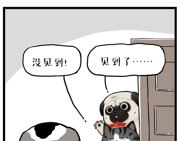 第267话 不让你流浪 第46页