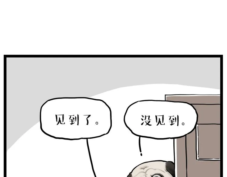 第267话 不让你流浪 第49页