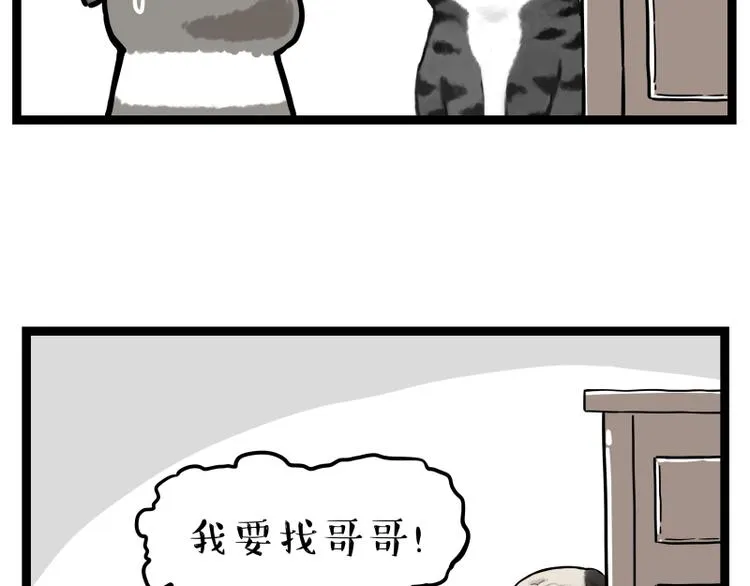 第267话 不让你流浪 第52页