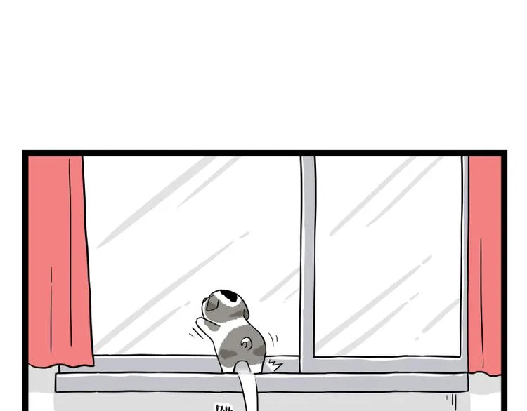第267话 不让你流浪 第54页