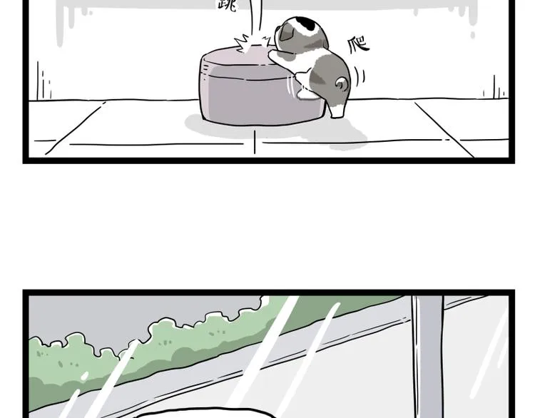 第267话 不让你流浪 第55页
