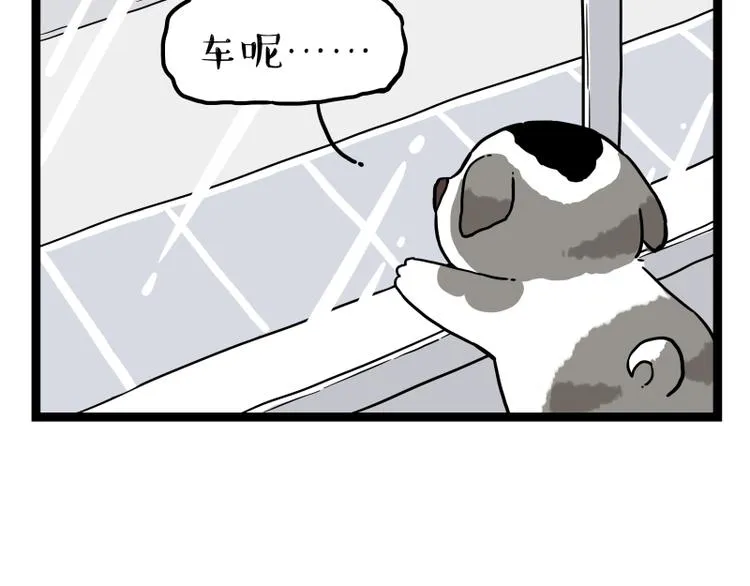 第267话 不让你流浪 第56页