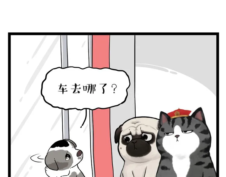 第267话 不让你流浪 第57页