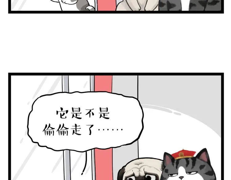 第267话 不让你流浪 第58页