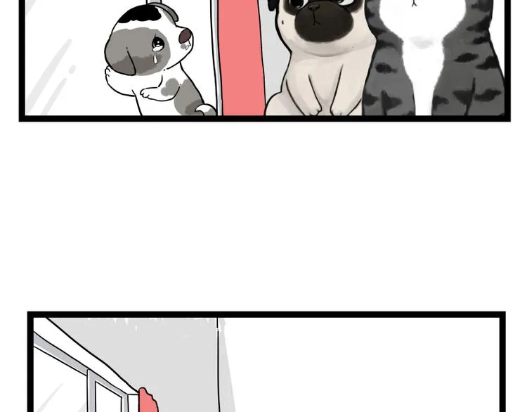 第267话 不让你流浪 第59页