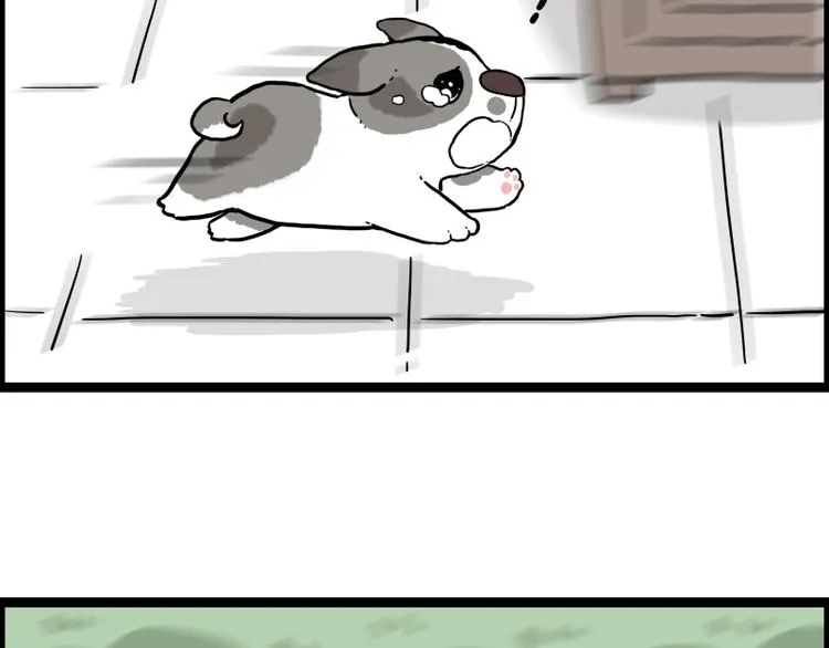 第267话 不让你流浪 第62页