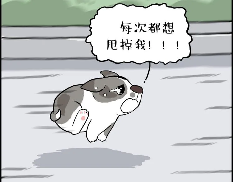 第267话 不让你流浪 第63页