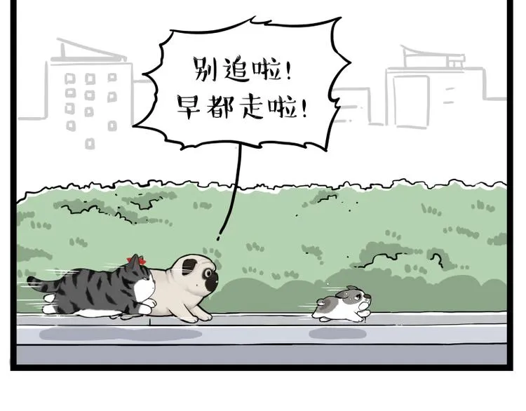 第267话 不让你流浪 第66页