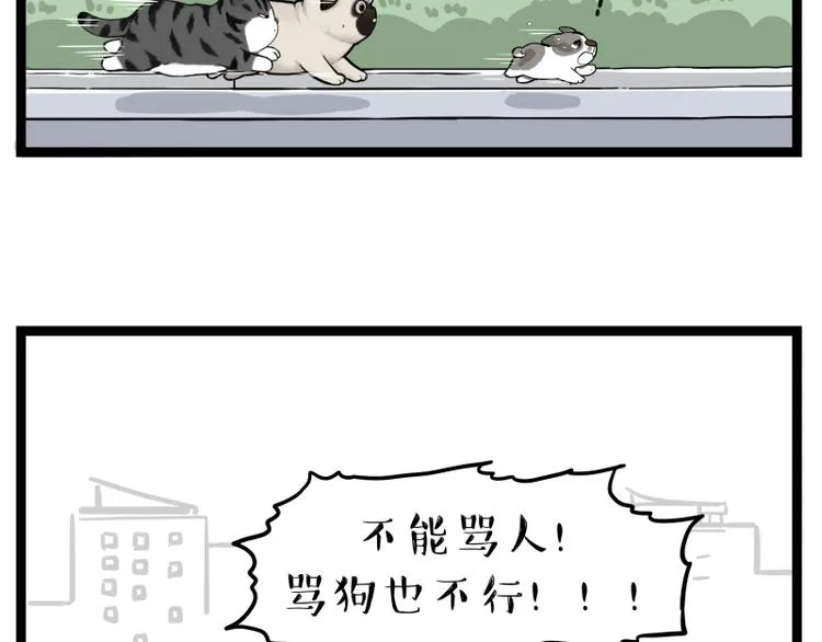 第267话 不让你流浪 第69页