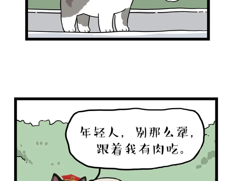 第267话 不让你流浪 第73页