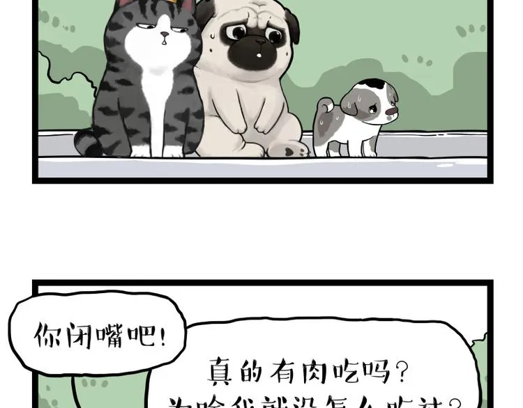 第267话 不让你流浪 第74页
