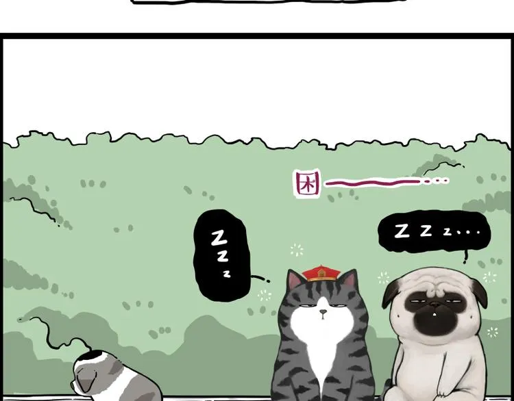 第267话 不让你流浪 第76页
