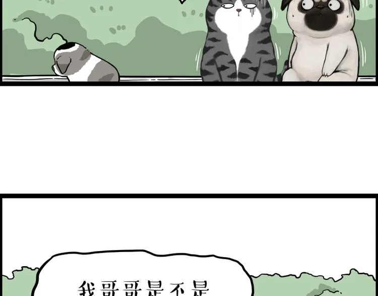 第267话 不让你流浪 第78页