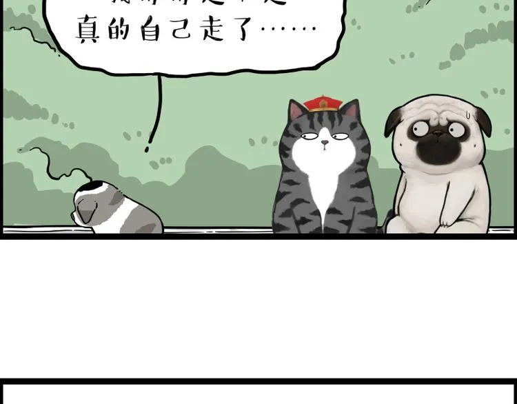 第267话 不让你流浪 第79页