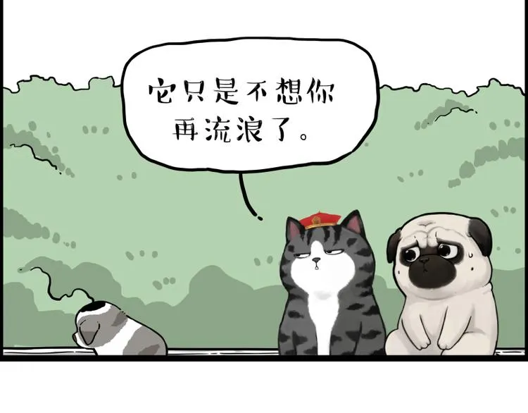 第267话 不让你流浪 第80页