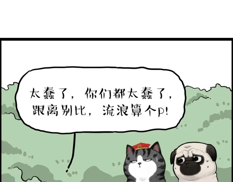 第267话 不让你流浪 第81页