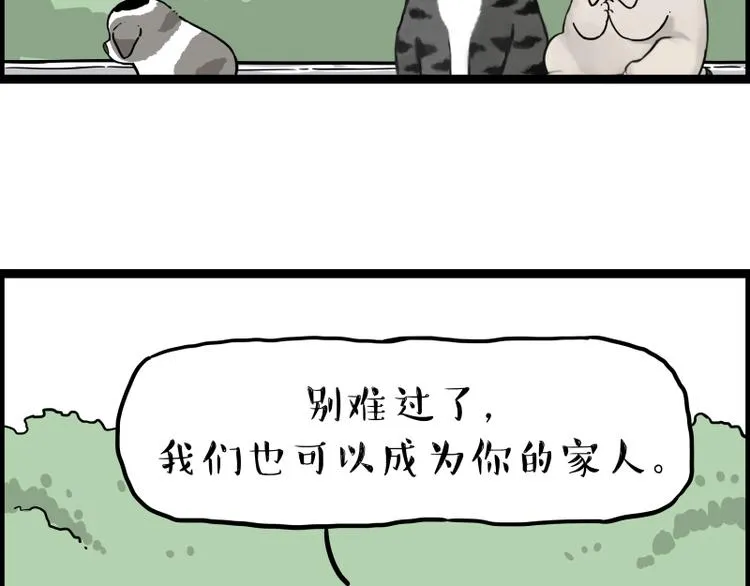 第267话 不让你流浪 第84页