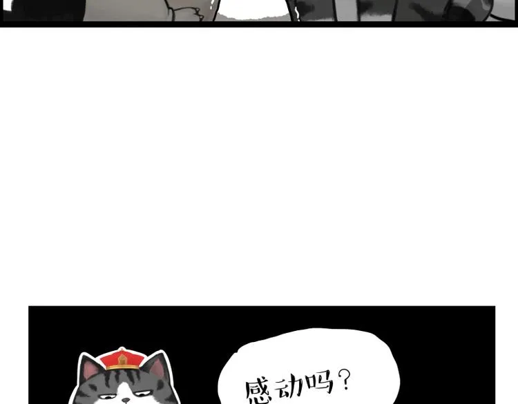 第267话 不让你流浪 第93页