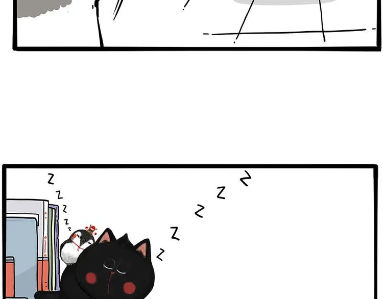 第270话 胖老猫你个大骗子！ 第5页