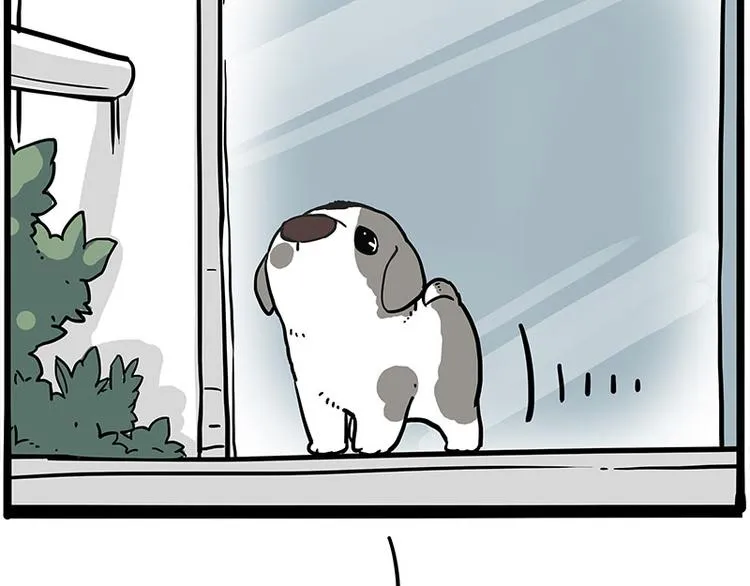 第270话 胖老猫你个大骗子！ 第13页