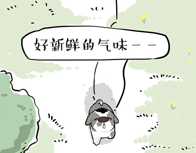 第270话 胖老猫你个大骗子！ 第15页