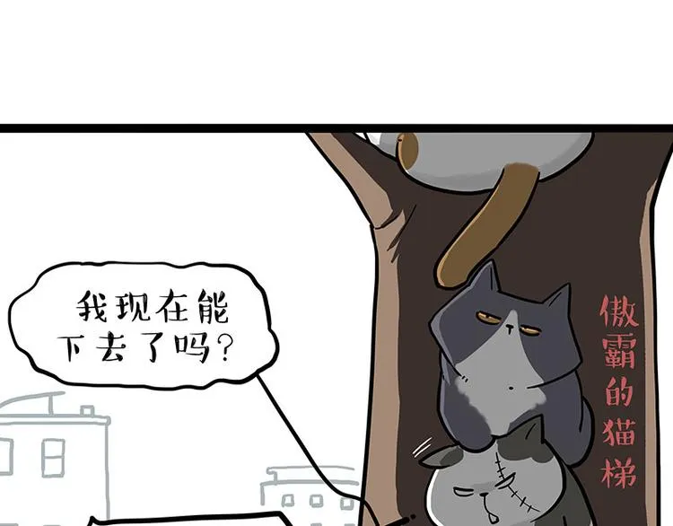 第270话 胖老猫你个大骗子！ 第25页