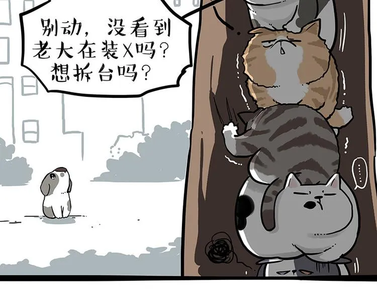 第270话 胖老猫你个大骗子！ 第26页