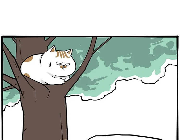 第270话 胖老猫你个大骗子！ 第27页