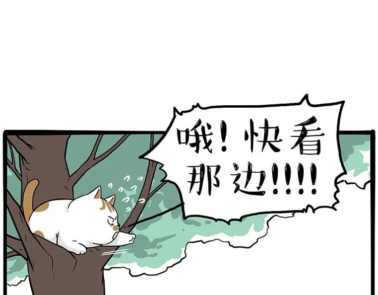 第270话 胖老猫你个大骗子！ 第39页