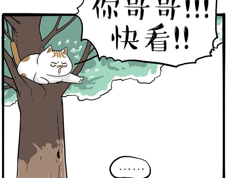 第270话 胖老猫你个大骗子！ 第41页