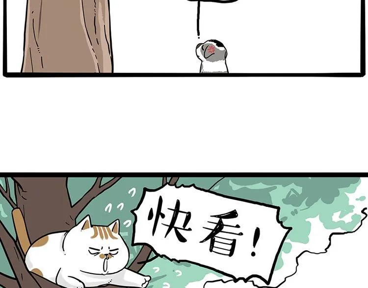 第270话 胖老猫你个大骗子！ 第42页