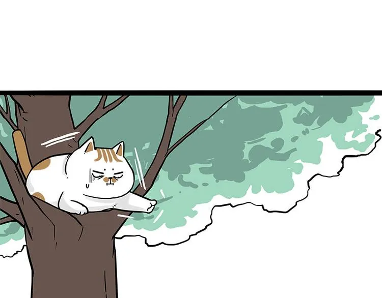 第270话 胖老猫你个大骗子！ 第44页