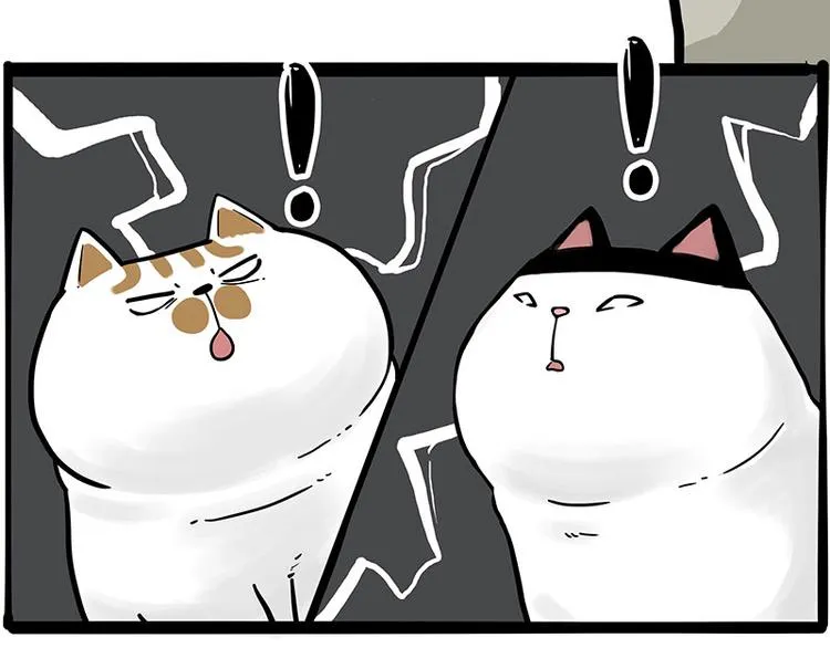 第272话 一定会再见 第33页