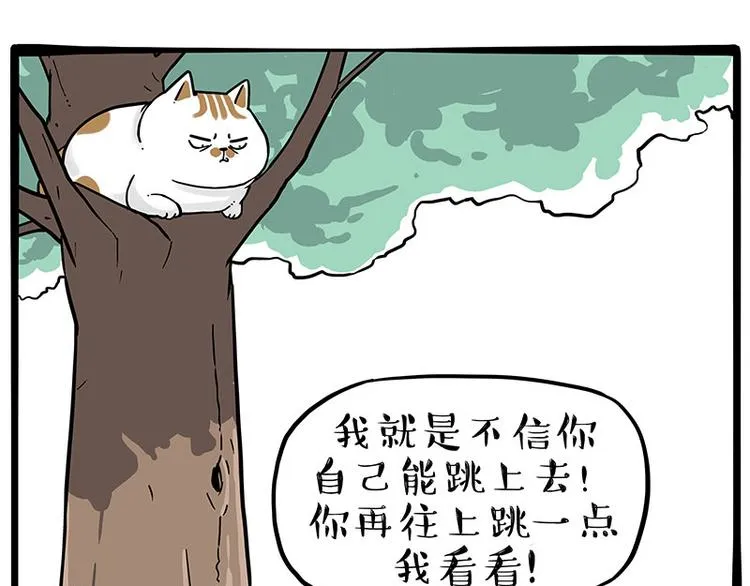 第271话 进击的流浪猫！ 第1页