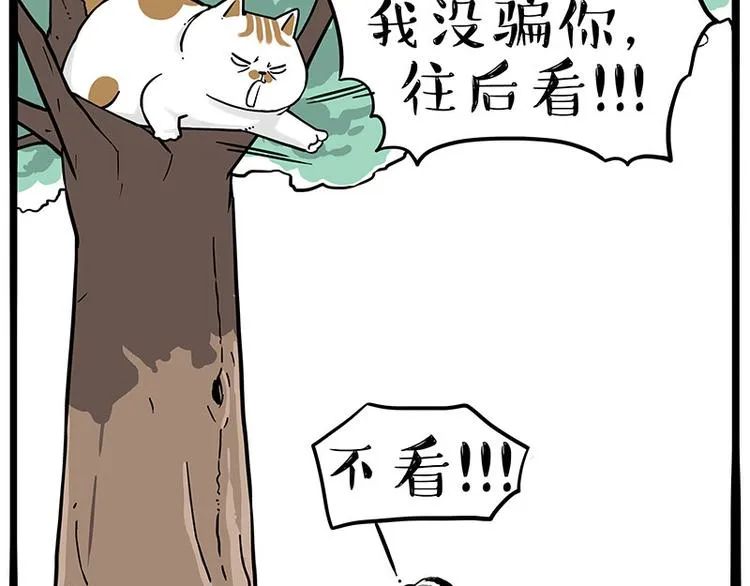 第271话 进击的流浪猫！ 第4页